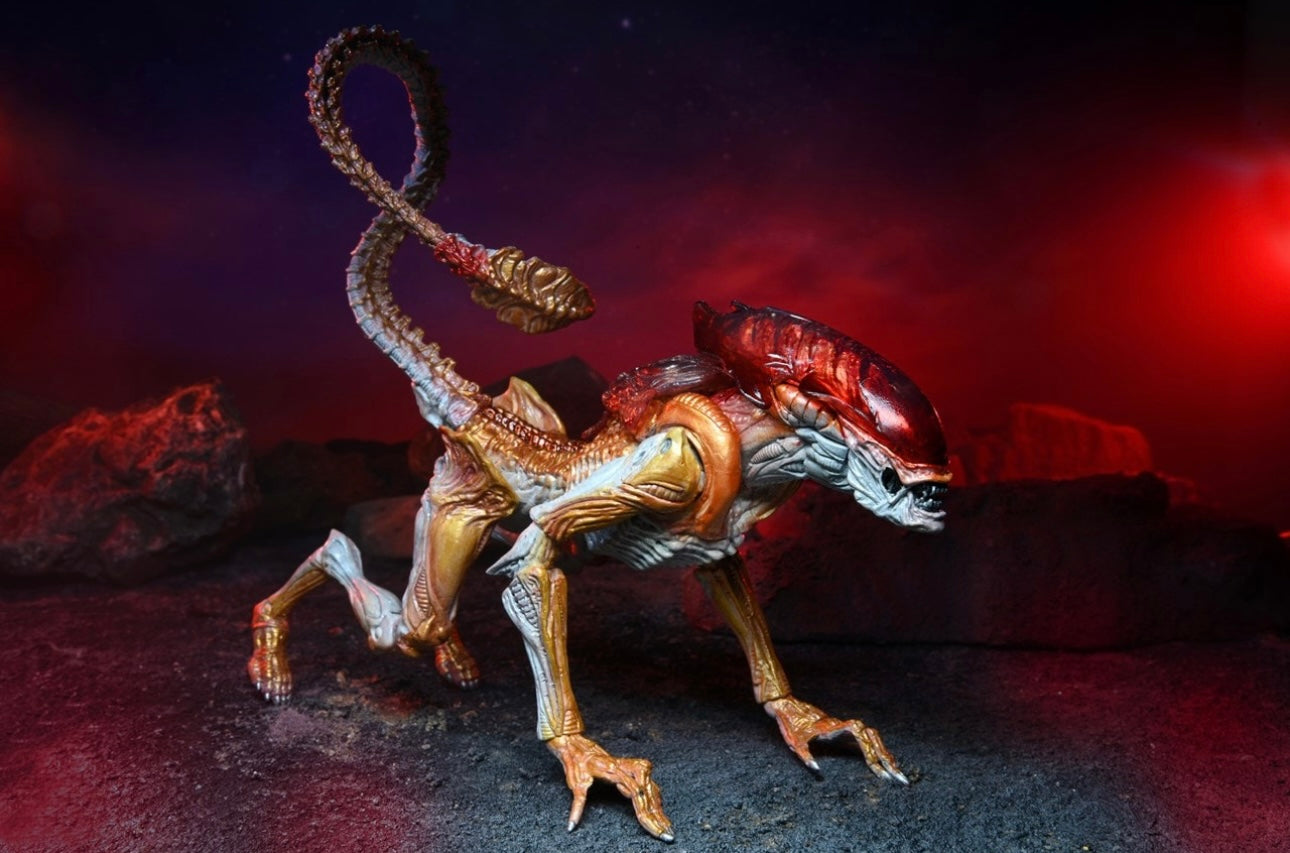 Aliens Panther Alien